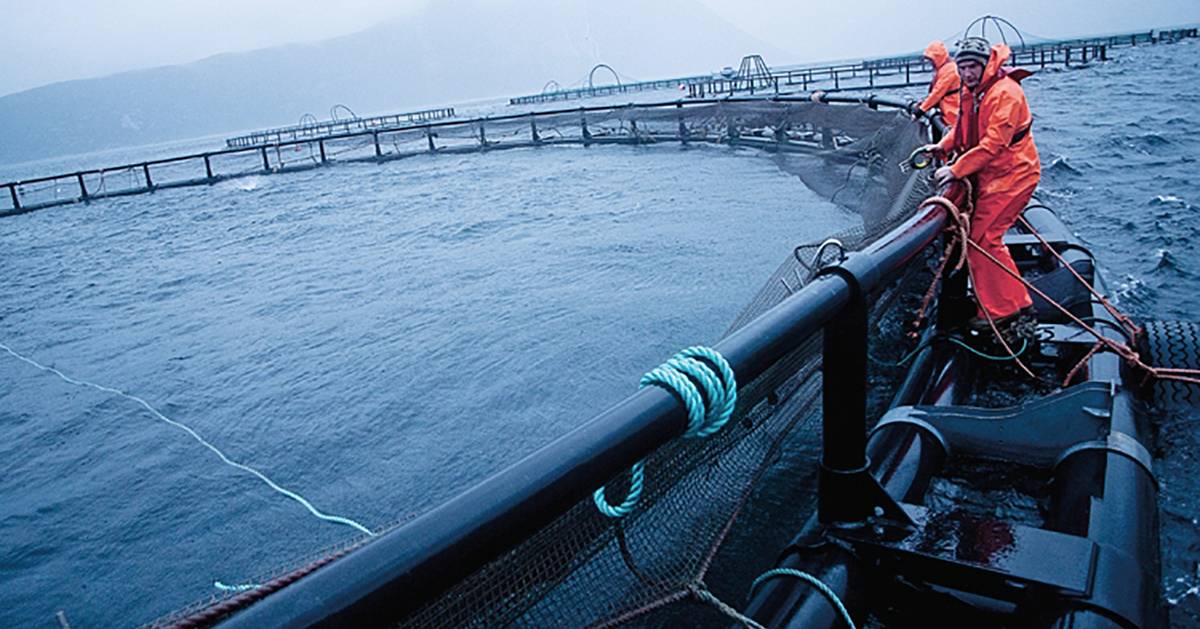 Atlantic Hub quer tornar Sines localização segura para cabos submarinos