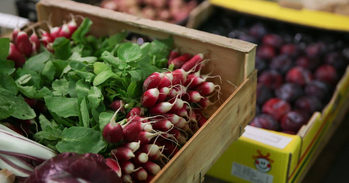 Ciclosporíase: que parasita é este, que já infetou milhares de pessoas nos EUA e pode estar em alimentos frescos?
