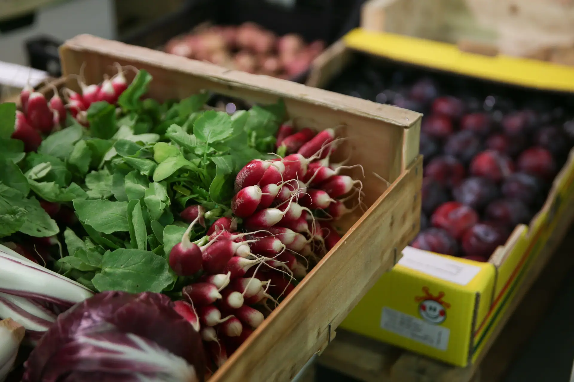 Portugueses entre os maiores consumidores de frutas e legumes da UE