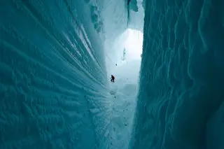 Forma de vida extrema encontrada na Antártida após 100 mil anos de solidão