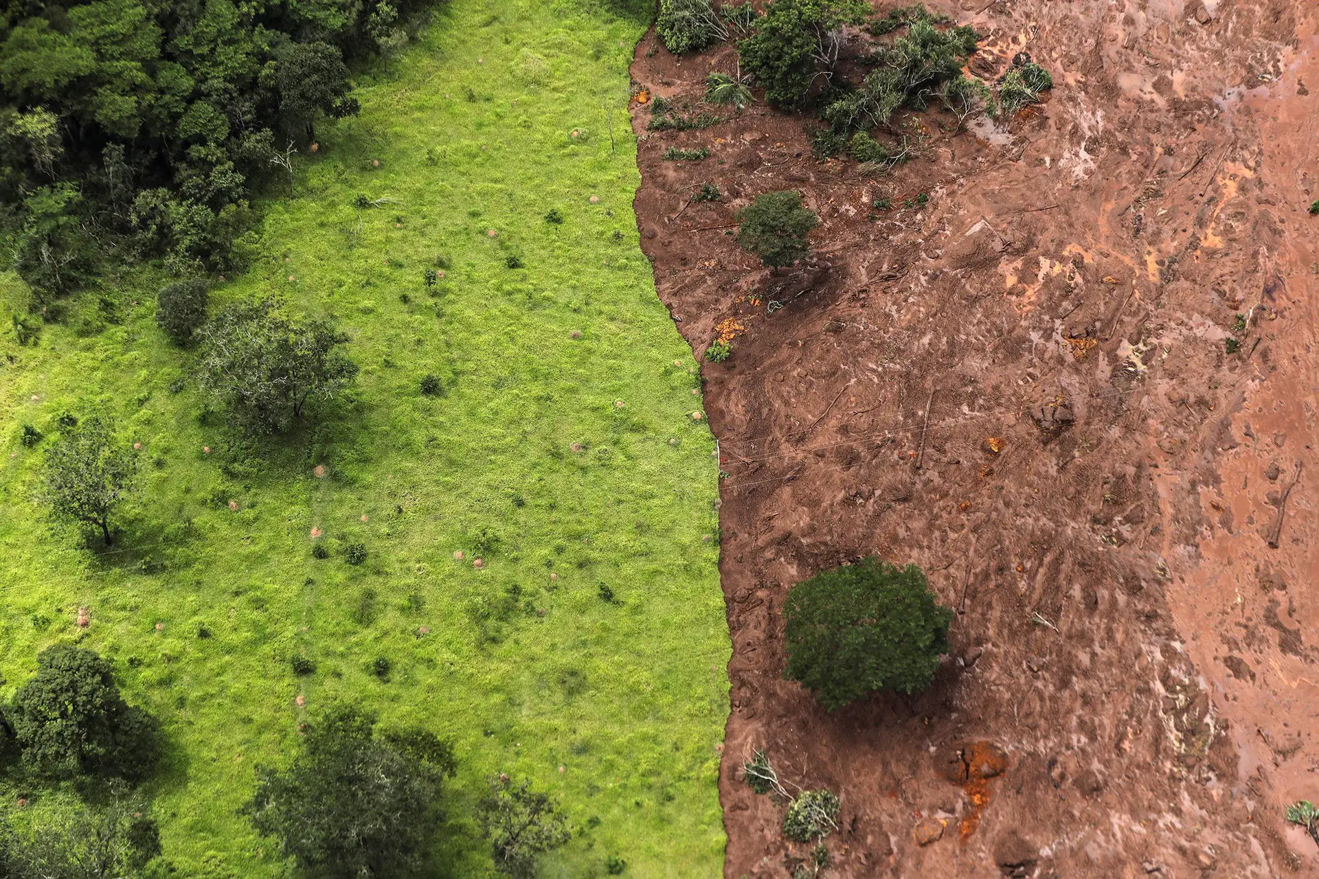 Uma Gigantesca Onda De Lama Engoliu O Que Encontrou à Frente