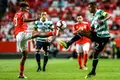 Alguns beijos na boca e as promessas do Lageboratório: Sporting-Benfica, parte I