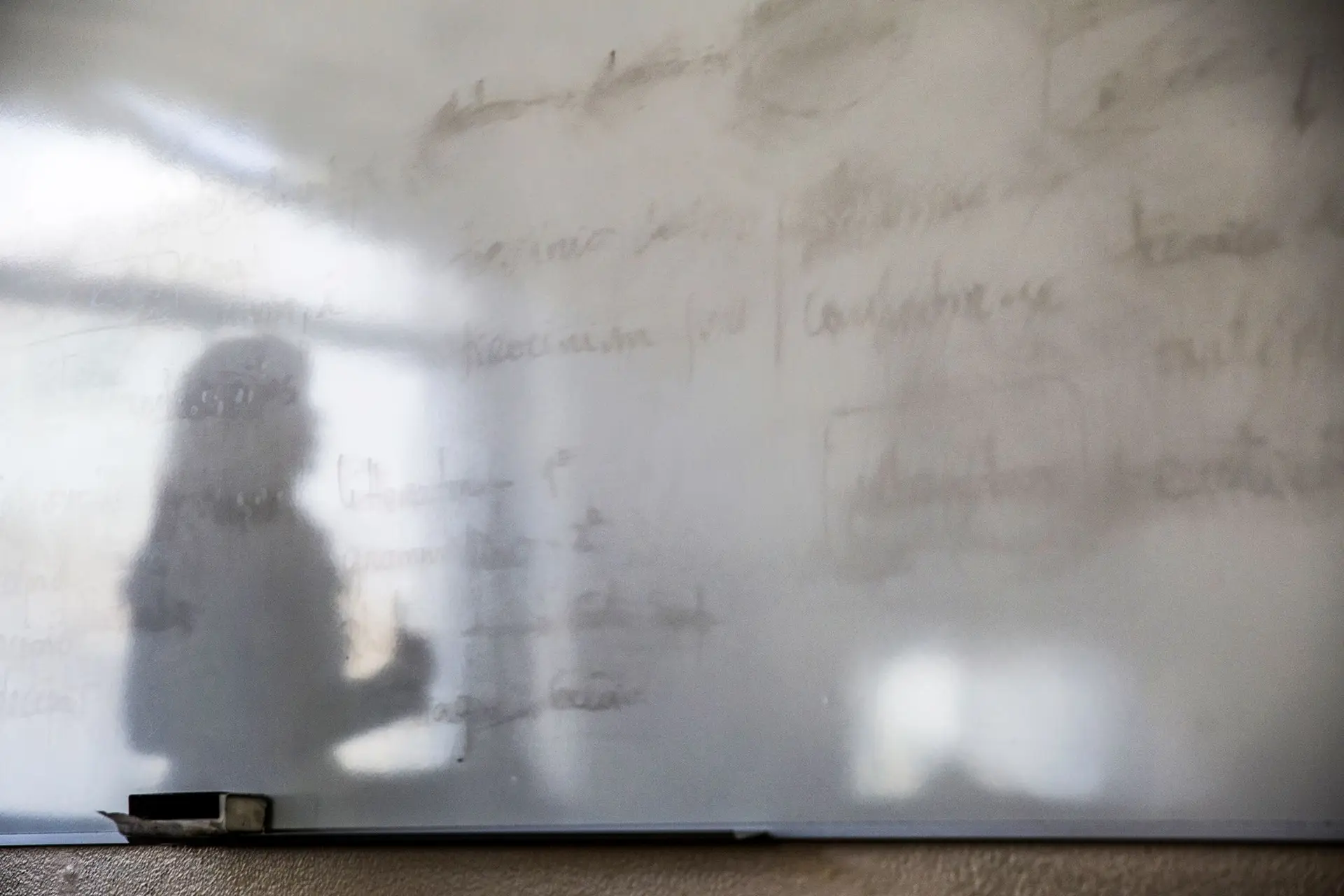 A população empregada no sector da educação aumentou em 33,5 mil pessoas em 2018
