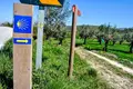 Ir a pé até Santiago: o caminho português já movimenta 81 mil peregrinos
