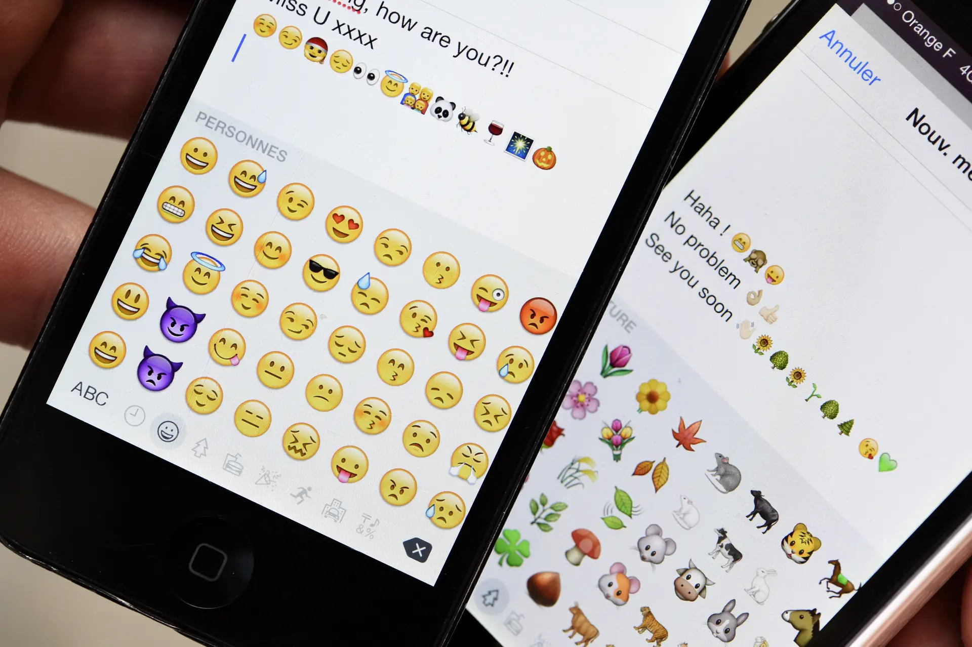 Matrículas com emojis? Sim, na Austrália