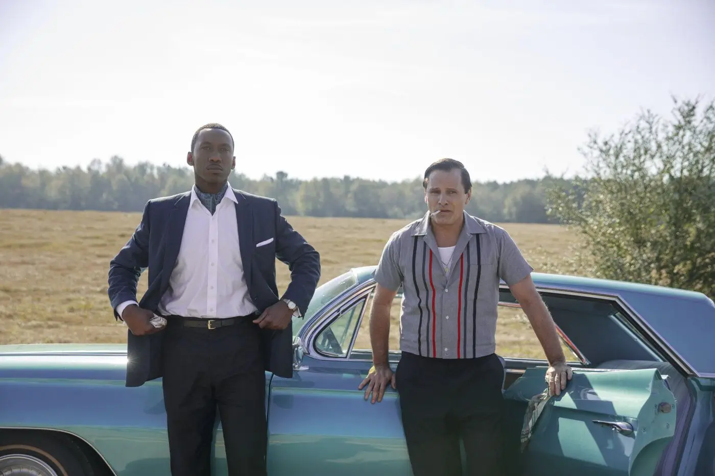 Leva o teu Green Book contigo, este livro é um bem necessário para a nossa raça