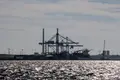 Greve no Porto de Setúbal prejudicou as exportações mas afetou pouco a economia