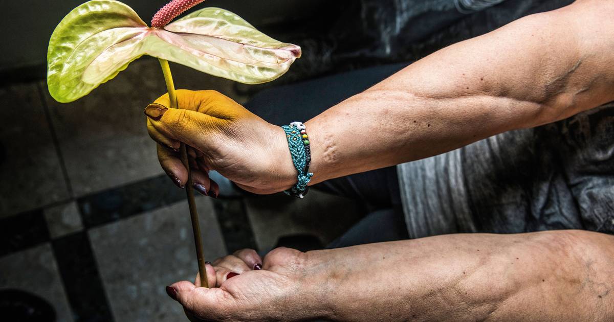 Novo tratamento contra o cancro atinge 70% de eficácia com menos quimioterapia