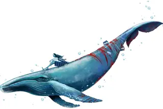 Baleia azul, o jogo de automutilação que foi uma “epidemia” entre os adolescentes