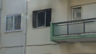 Incêndio numa habitação em Oeiras matou 23 gatos e fez seis feridos