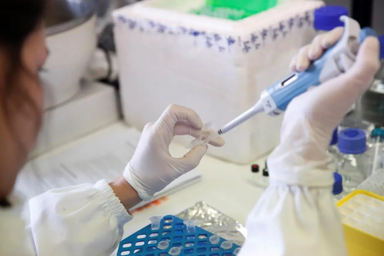 92% dos investigadores doutorados ficaram de fora no último concurso de estímulo ao emprego científico em 2018