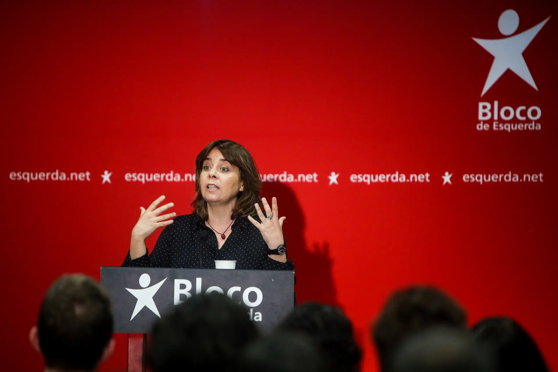 Reviravolta na Lei de Bases da Saúde: BE volta às negociações e 'tira' PPP da lei