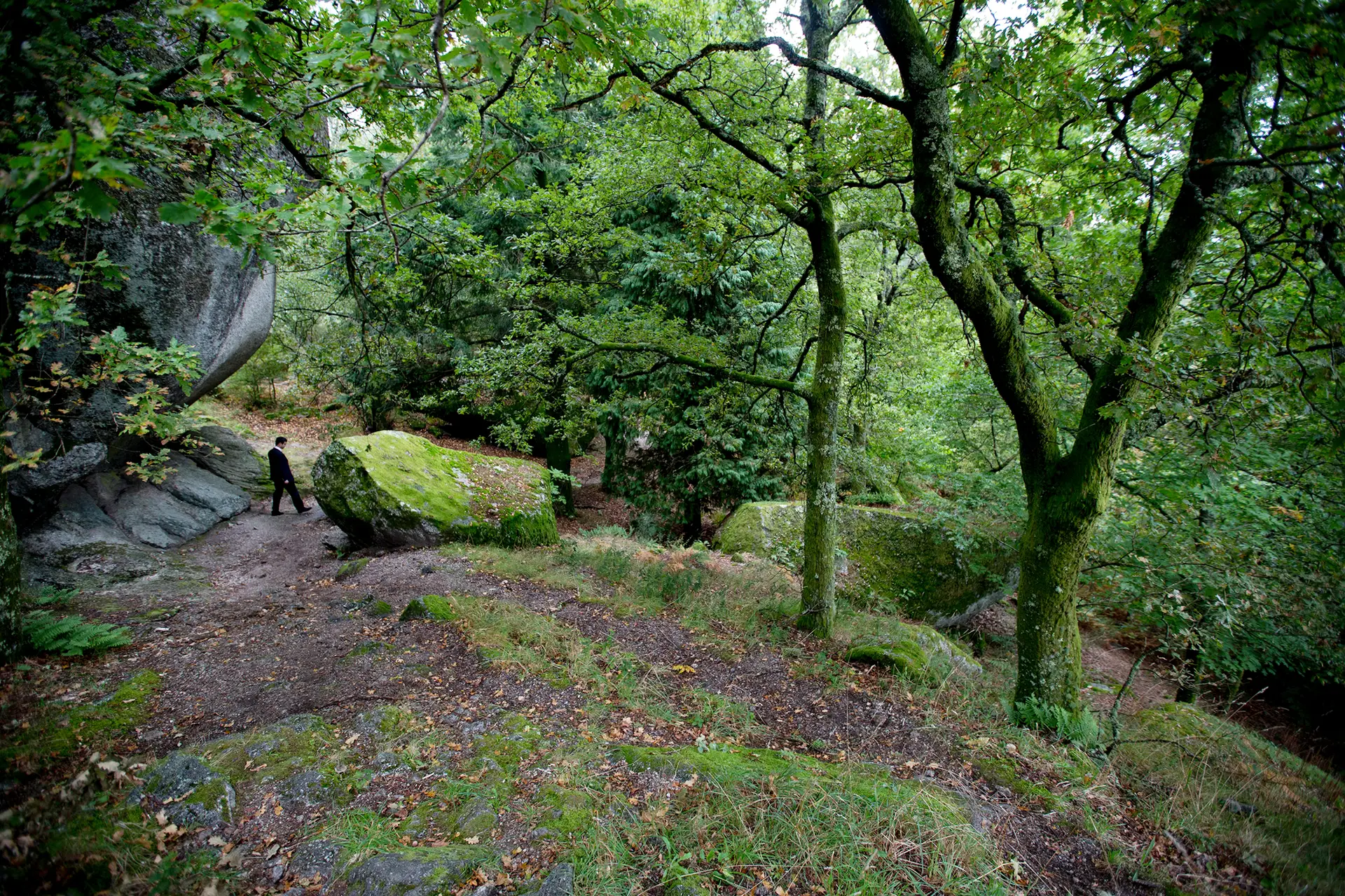 A área do Fojo, no perímetro do Parque Natural da Penada-Gerês, integra um ecossistema de espécies de flora e fauna protegidas, razão que leva os locais a repudiar qualquer atividade que coloque em causa a identidade paisagística