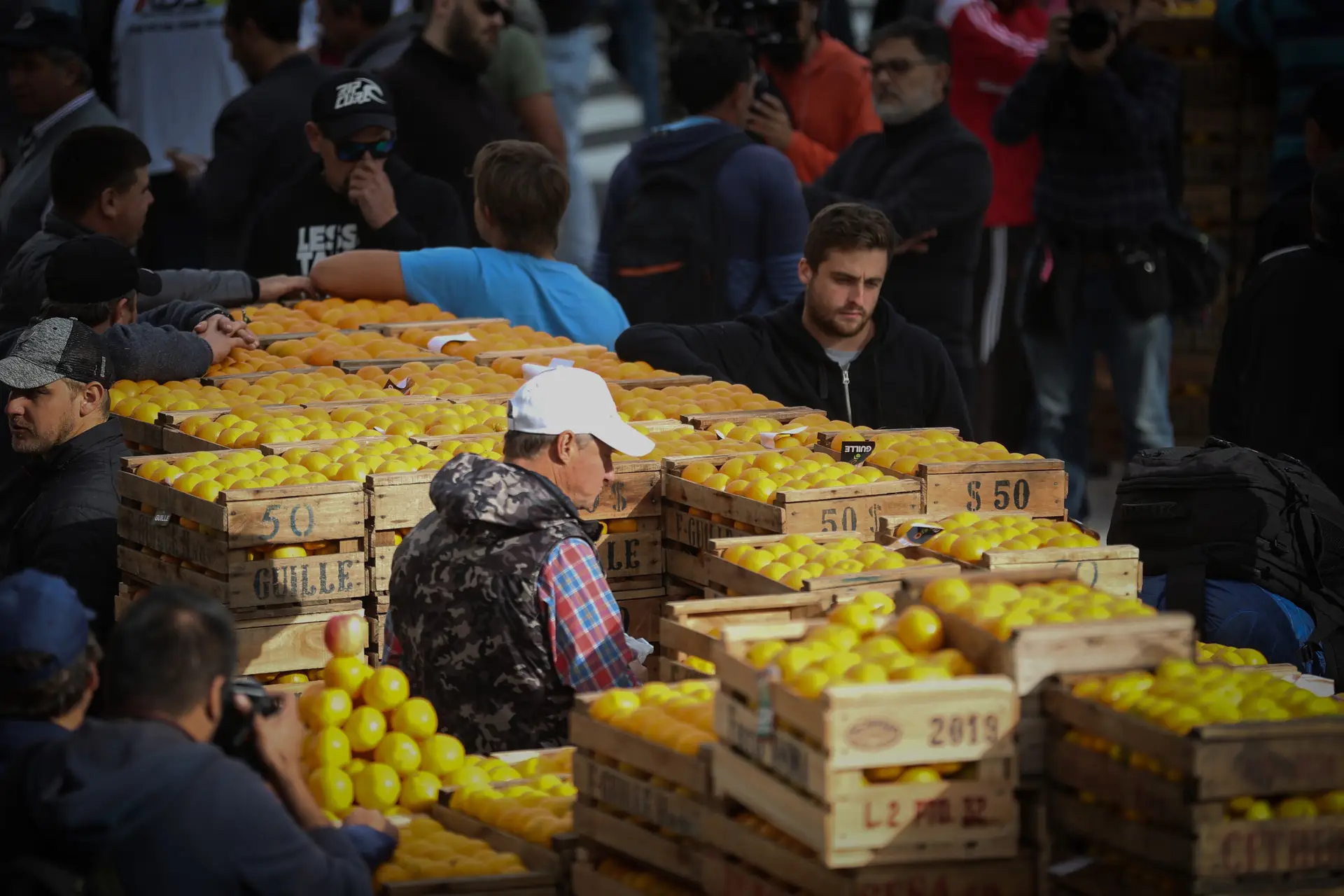 Treze vítimas de intoxicação numa central fruteira no Bombarral