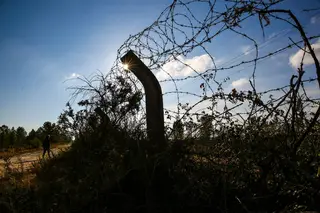 Tancos: MP segue pista sobre ex-chefe da Casa Militar. PR diz que deve saber-se tudo, "doa a quem doer"
