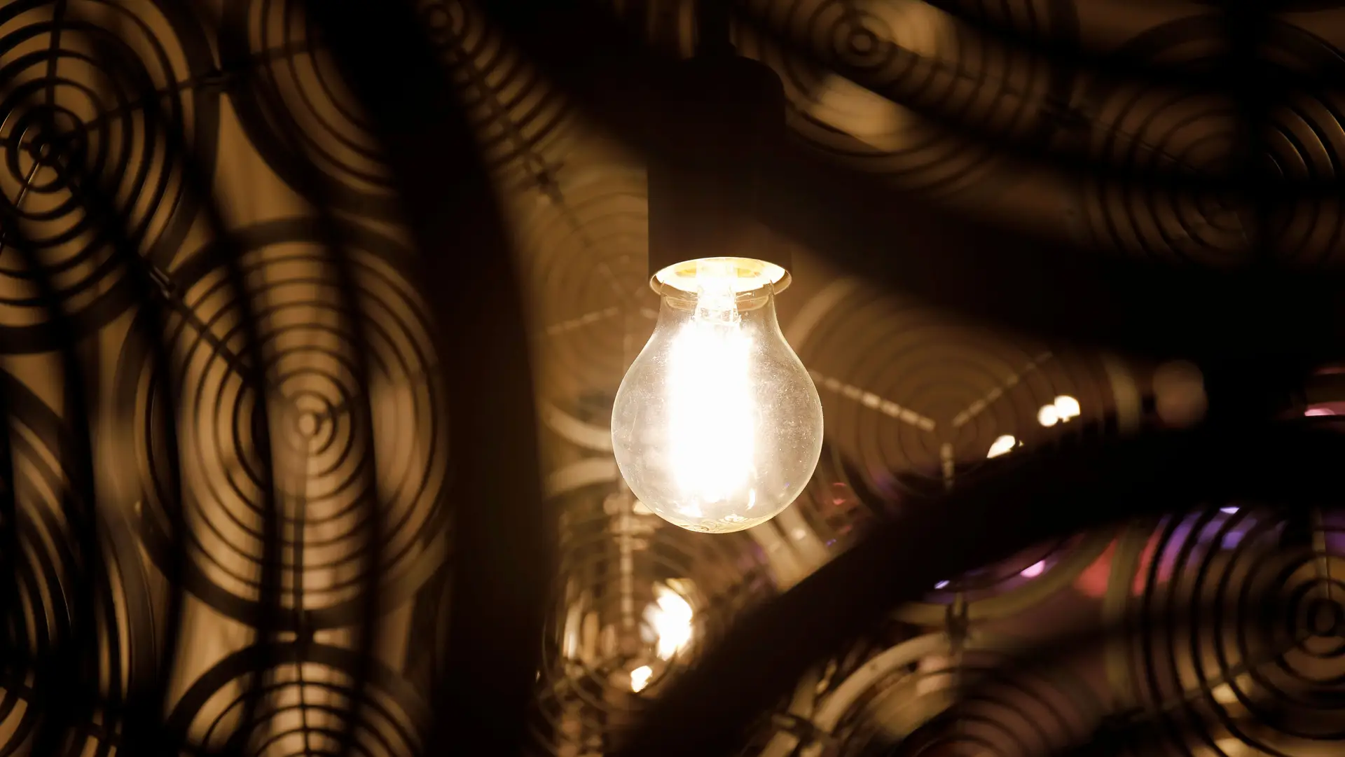 Vaga de frio. EDP Distribuição contabilizou 11 mil ocorrências no abastecimento de eletricidade - é “acima da média”