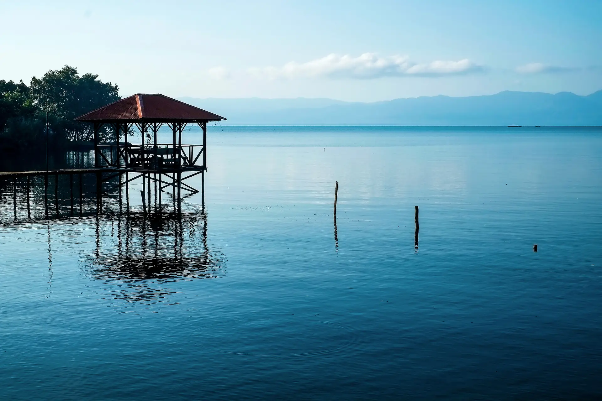 Forbidden Stories. Morte no lago