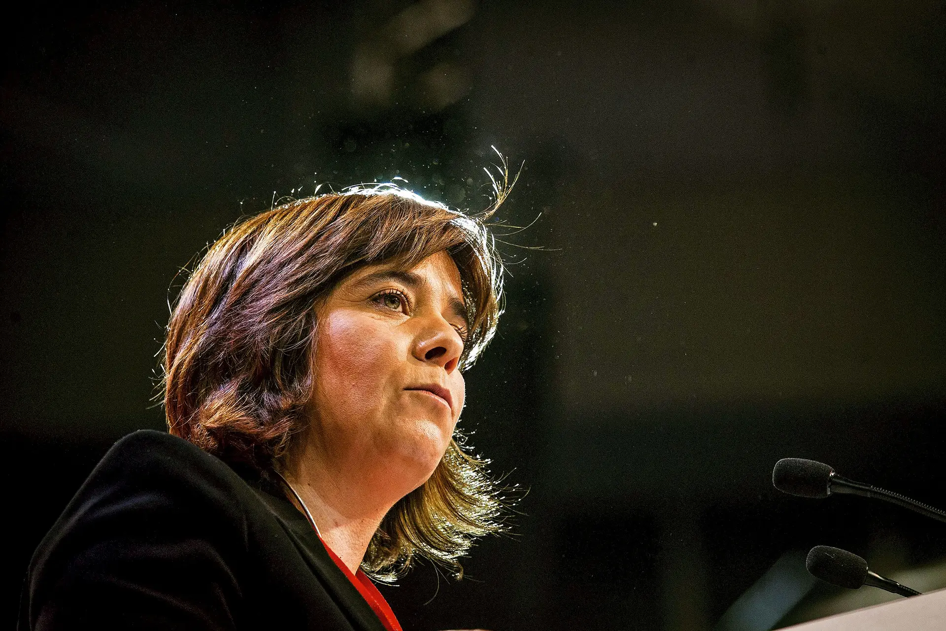 A lista encabeçada por Catarina Martins está a ser criticada por um abaixo-assinado