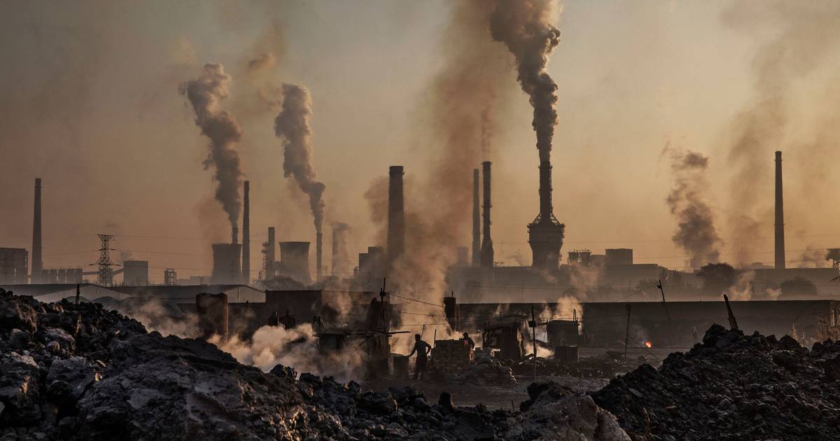 “A Terra está agora bem fora do espaço operacional seguro para a humanidade”: planeta ultrapassou seis dos nove limites de estabilidade