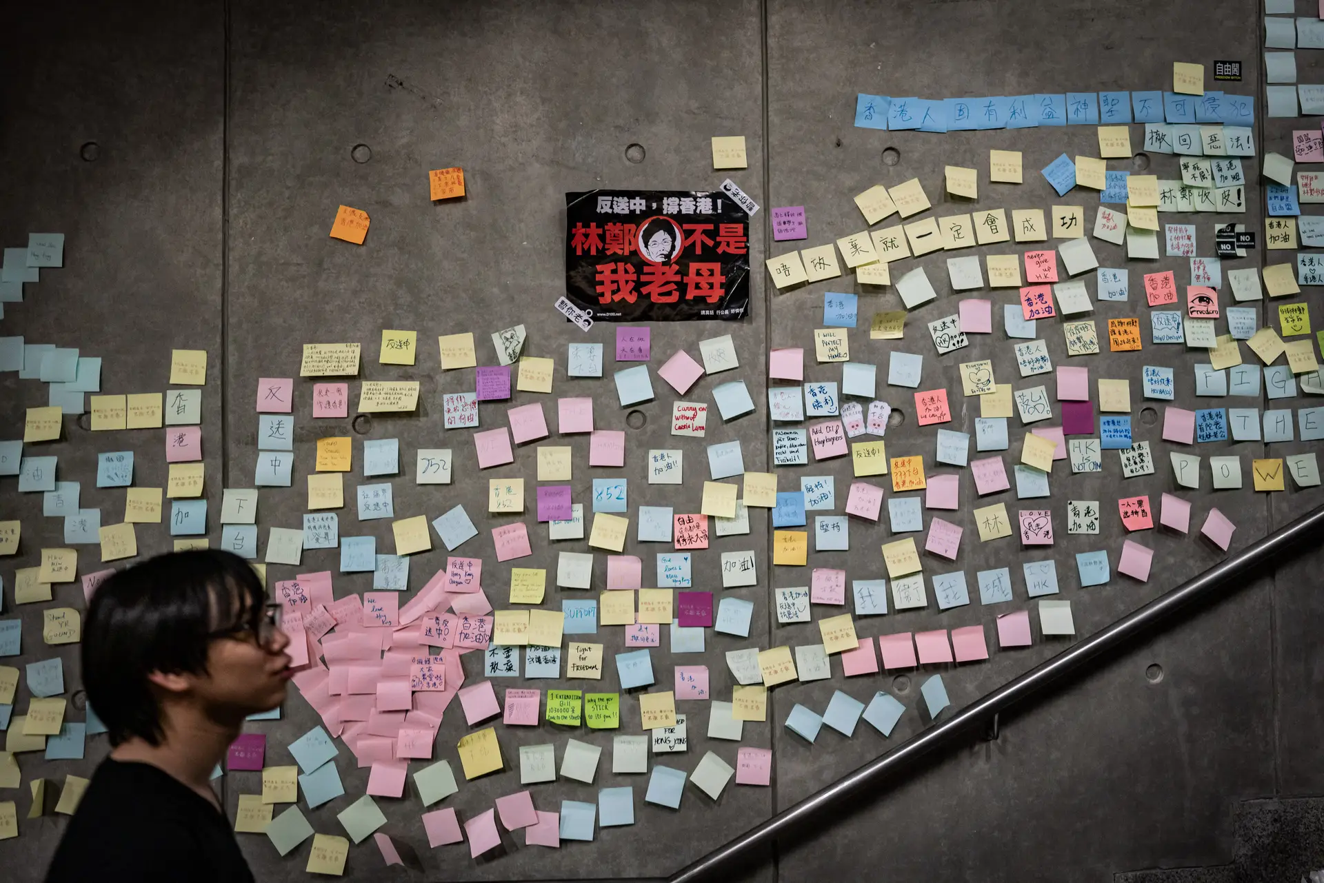 Uma presença colorida a que os cidadãos de Hong Kong se vão habituando nas suas rotinas quotidianas
