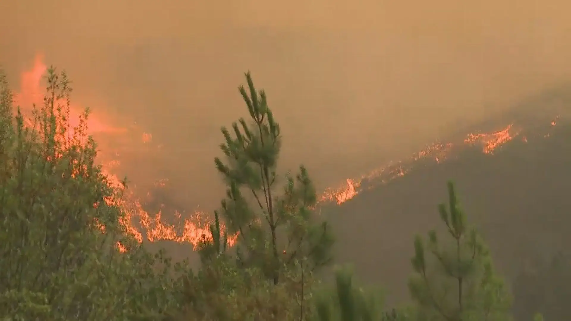PJ investiga suspeitas de mão criminosa nos incêndios de Castelo Branco