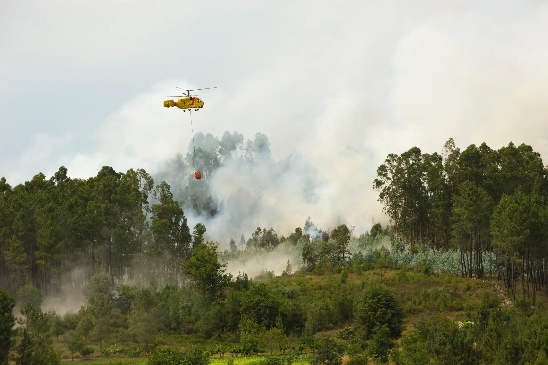 Sete acidentes com aeronaves do dispositivo de combate aos fogos nos últimos dois meses