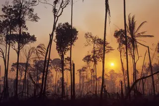 Brasil aceita doação de €11 milhões do Reino Unido para combater incêndios na Amazónia