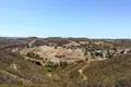 O canto dos rouxinóis está a desaparecer da serra algarvia