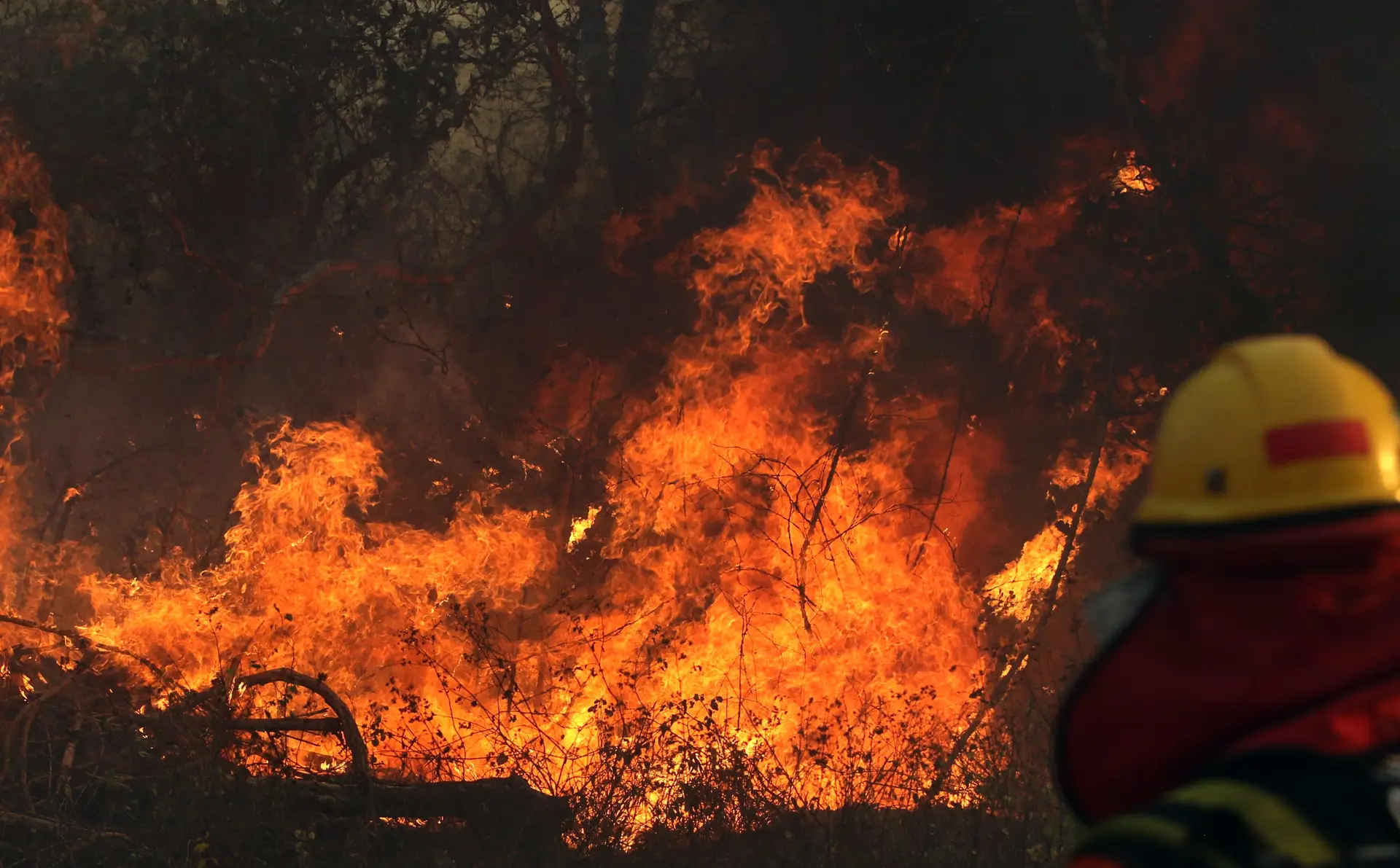 Bolívia castigada com incêndios florestais há mais de 20 dias