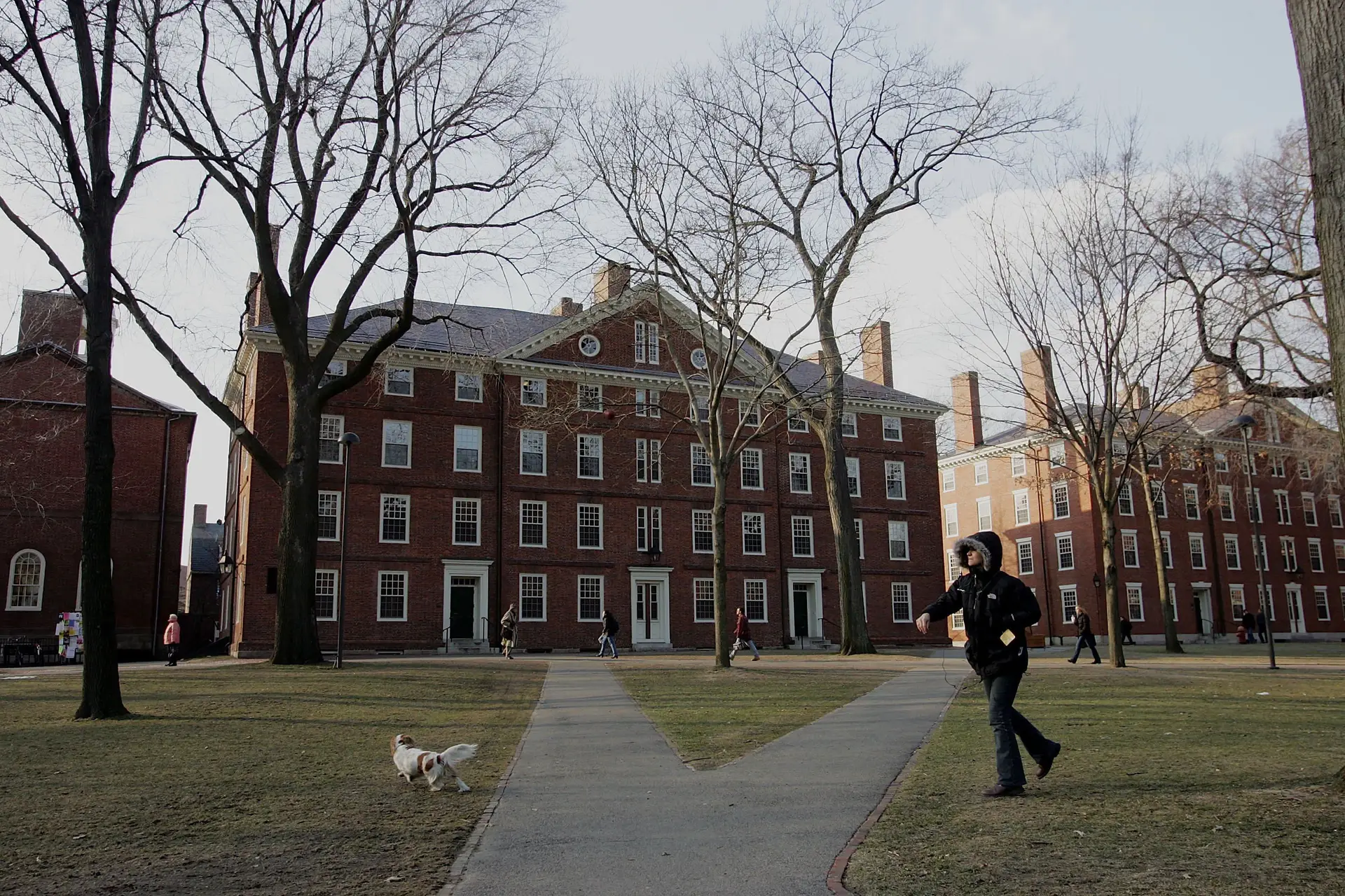 "Defendemos a verdade": Harvard recorre à Justiça contra corte de verbas pela administração Trump
