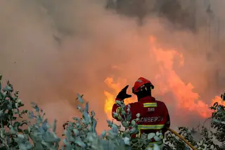 Mealhada. Chamas perto de casas obrigam a ação de 276 bombeiros e 11 meios aéreos