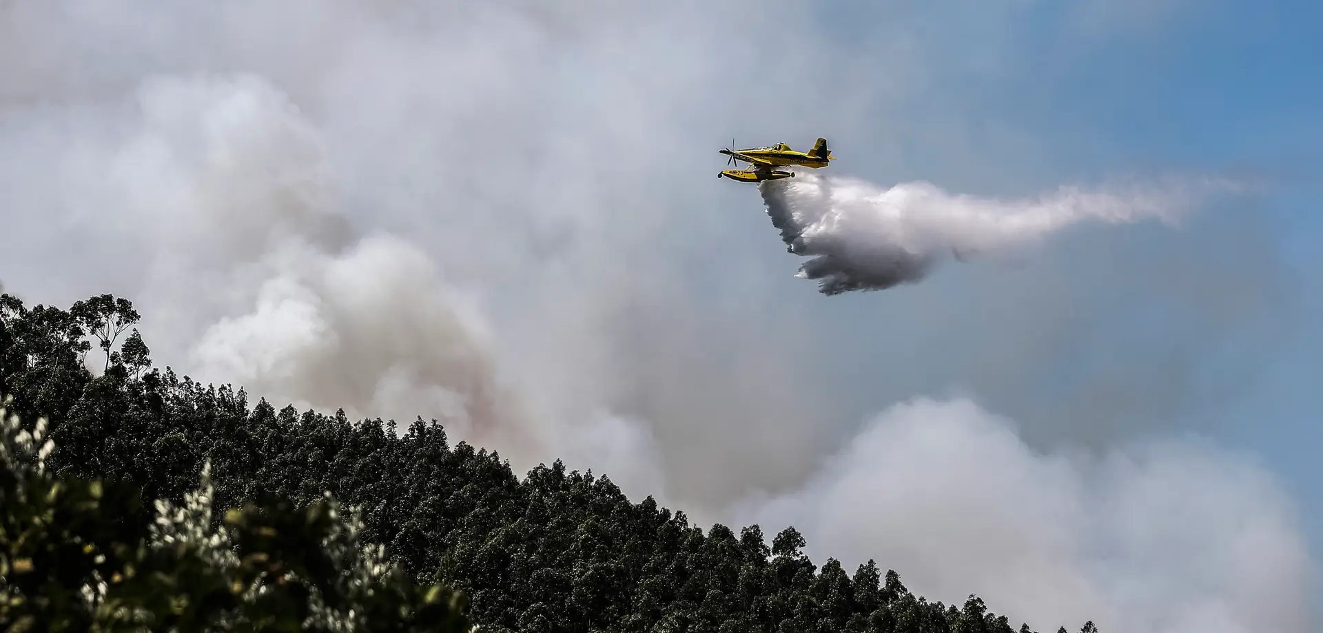 Incêndios em Arouca e Sátão mobilizam mais de 380 operacionais