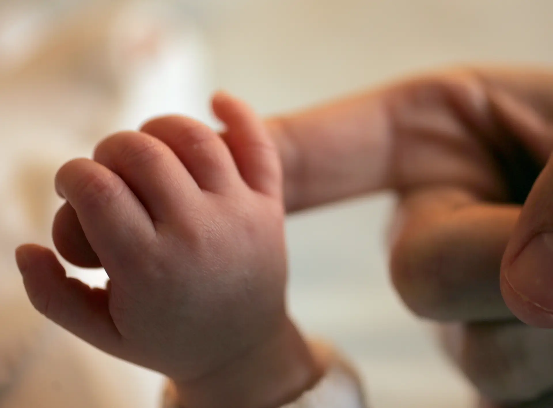 Procuram-se famílias para acolher crianças em risco