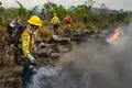 Bolsonaro reduziu em 45% os gastos em brigadas contra incêndios florestais