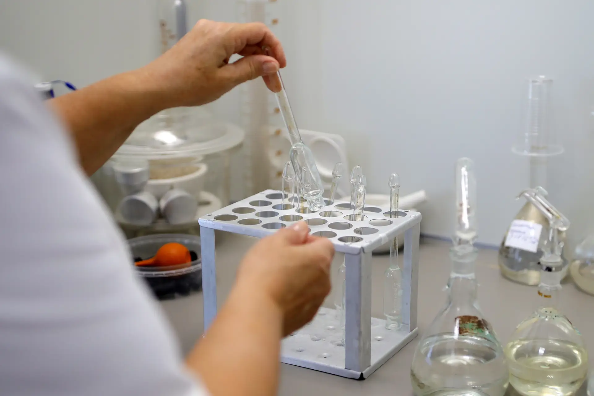O ITQB faz 25 anos. Sabe o que faz o instituto dos cientistas curiosos?