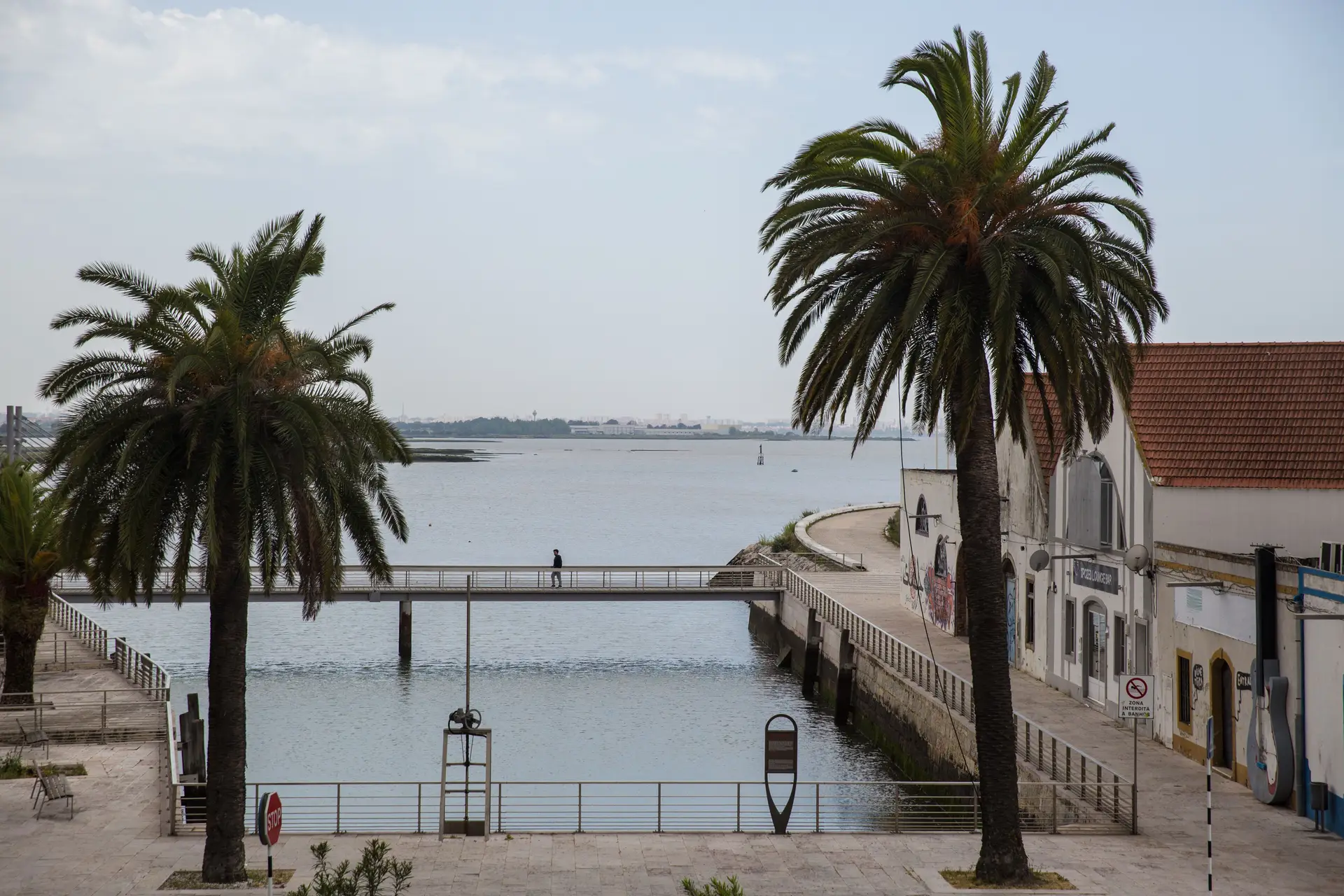 Provedor da Santa Casa do Montijo mandou vacinar a mulher (que não era prioritária)