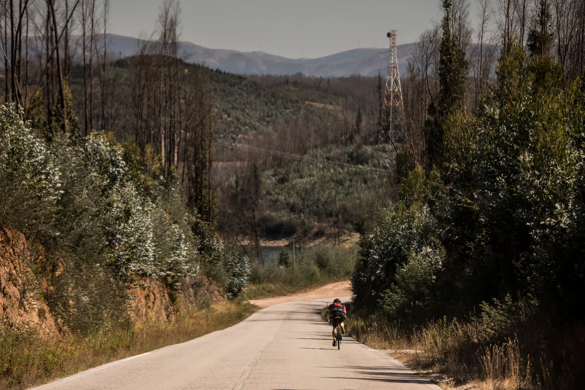 Fotogaleria 2, foto 2: Tiago Cação, no dia em que tentou bater o recorde de bicicleta da Estrada Nacional 2