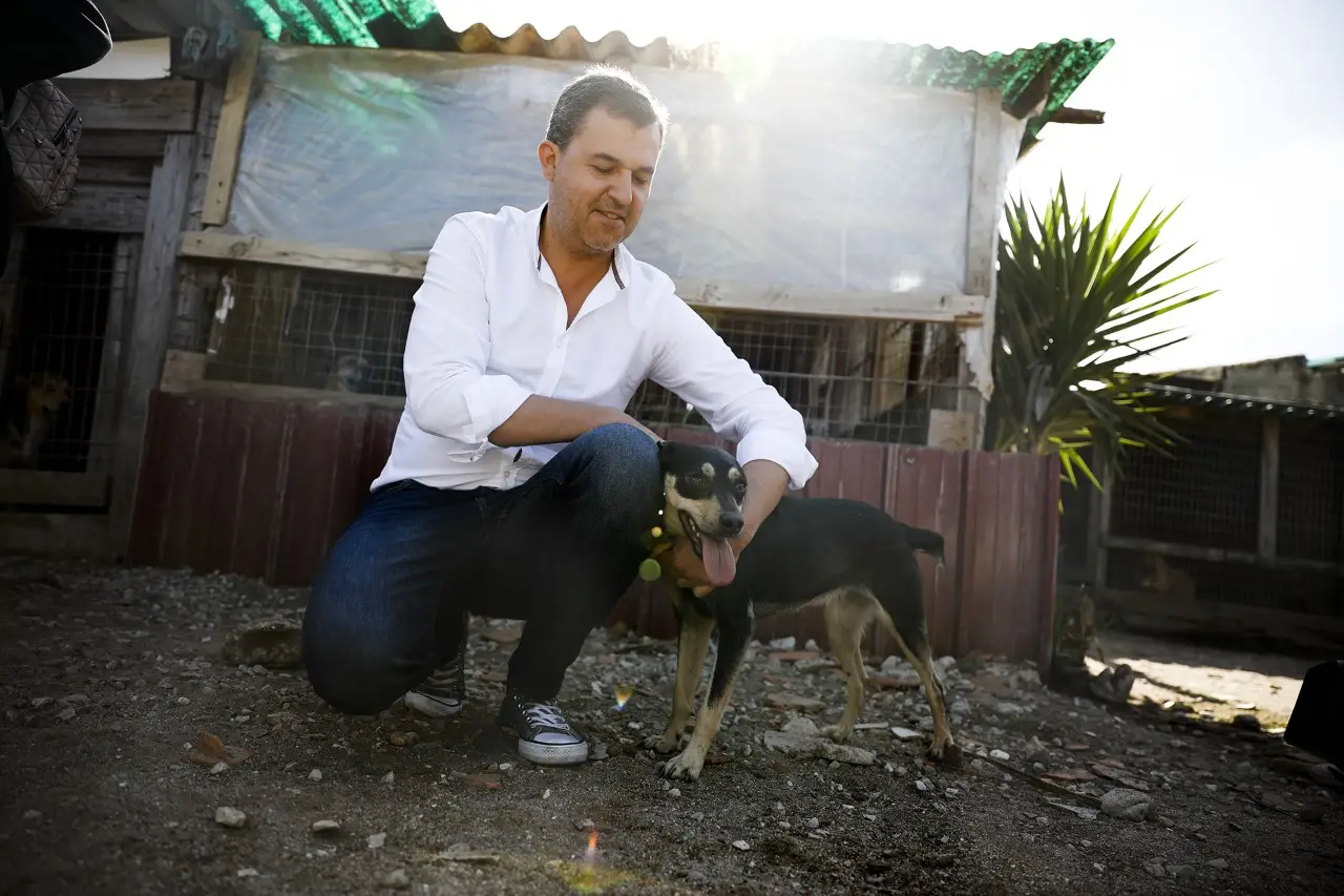 André Silva: “Os Verdes são uma ficção política”