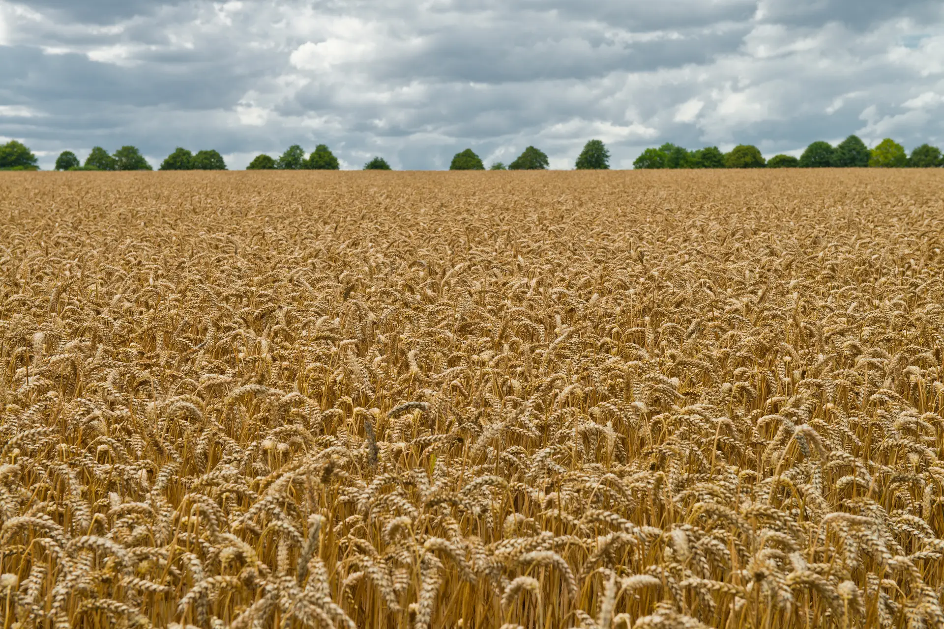 Está aí a nova PAC. Há mais dinheiro para os agricultores mas pode não chegar a todos
