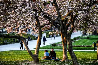 Os cidadãos croatas, como estes que se passeiam num parque de Zagreb, estão mais próximos da Europa <span class="creditofoto">Foto Hristo Rusev / NurPhoto / Getty Images</span>