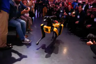 Último dia de Web Summit: entre políticos que mostram a sua fibra e robôs que se transformam em atletas