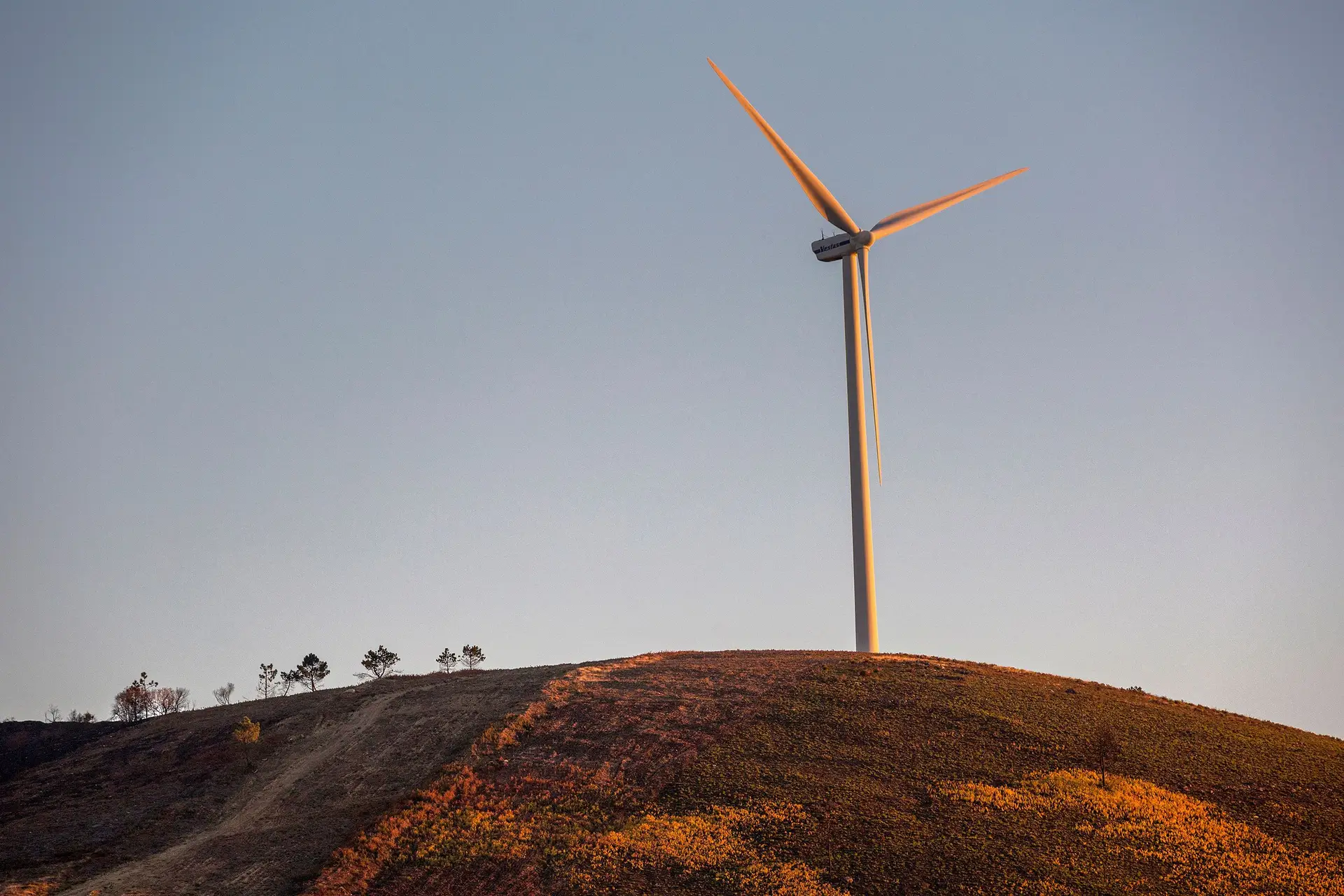Quem são os donos da energia em Portugal?