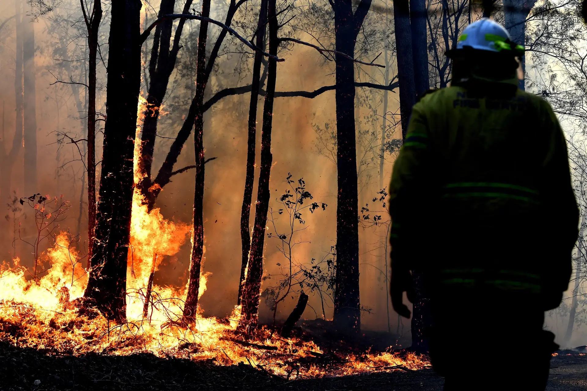 Mais de 90 incêndios lavram no leste da Austrália