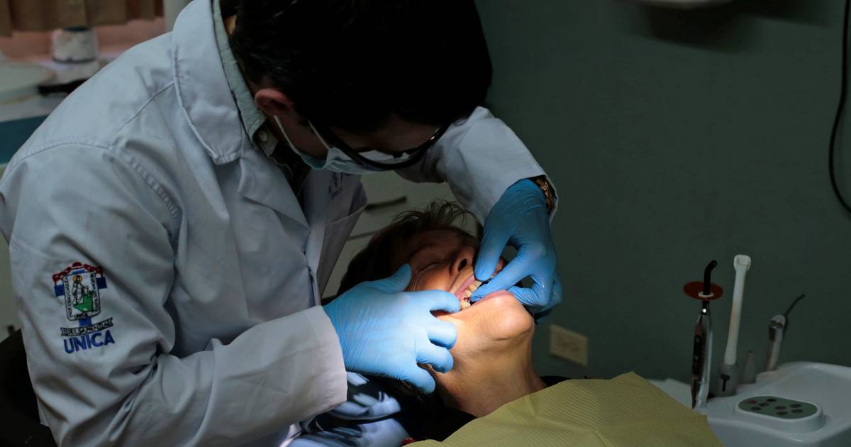 Peritos sugerem carreira de medicina dentária para fixar dentistas no SNS