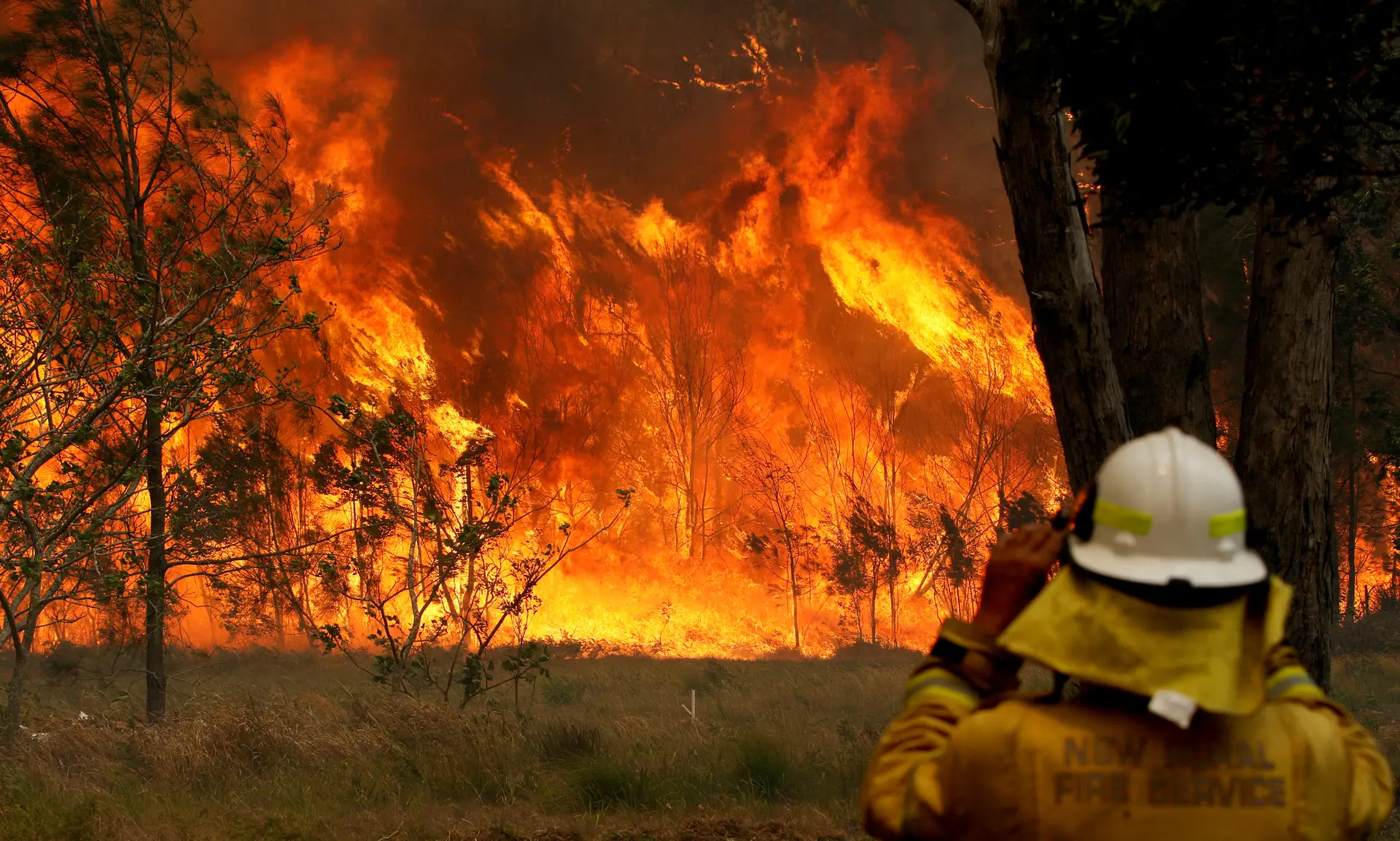 Austrália. Dois mortos e um homem desaparecido em fogos florestais em Nova Gales do Sul