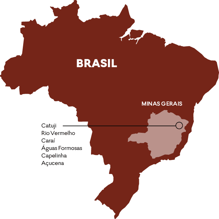 MAPA MINAS GERAIS