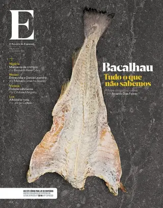 REVISTA E