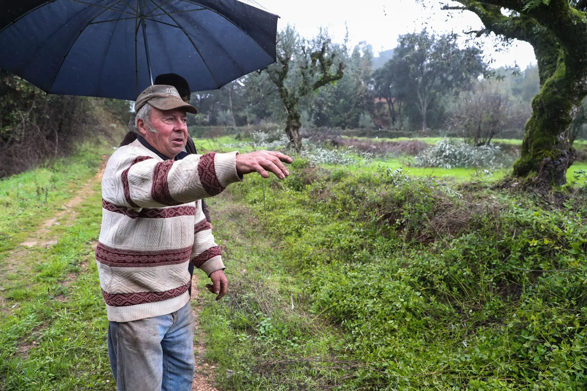 Manuel Bernardino aponta os terrenos com culturas destruídas pelos javalis em Penela