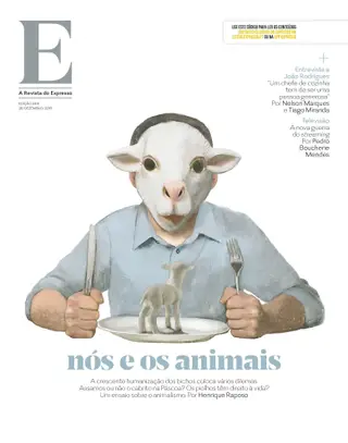 REVISTA E