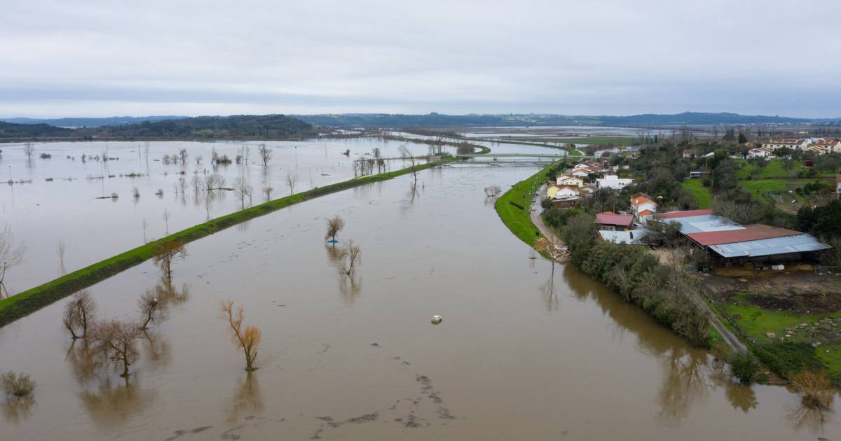 Pode não haver escassez, mas os preços dos alimentos vão subir: sementeiras apodrecem e estufas são arrasadas
